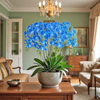 Htmeing 38 Inch Artificial Phalaenopsis Flowers Branches Real Touch (Not Silk) Orchids Flowers for Home Office Wedding Decoration,Pack of 2 (Dark Blue)