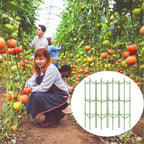 Moirsunt 4Pack Tomato Cage for Garden, 48Inch Multi-Functional Plant Support Stakes, Garden Stakes Tomato Trellis for Raised Garden Bed & Potted Plants, Tomato Cage Trellis for Climbing Plants