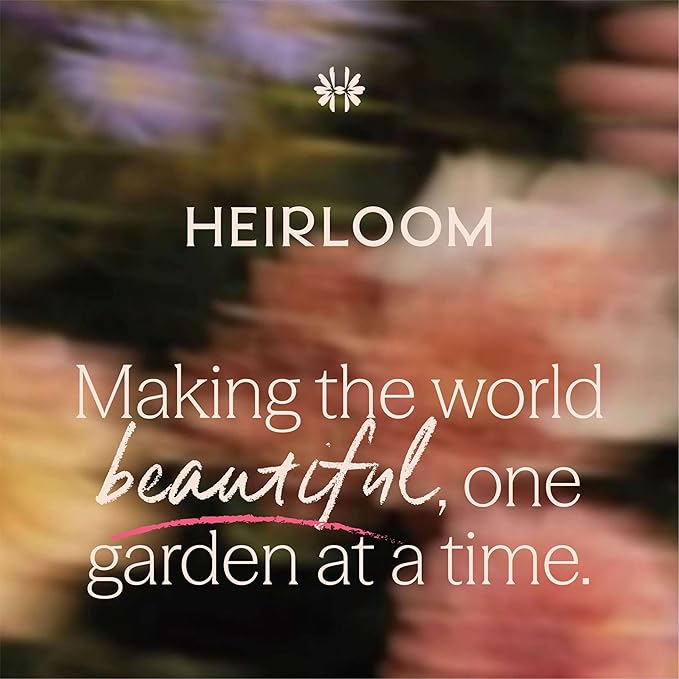 Heirloom Climbing Roses, Live Own Root Plant for Outdoor Garden, Lady in Red™, Lightly Fragrant, Hardiness Zones 4-10, Repeat Blooming