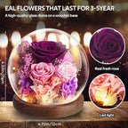 EXXccds Preserved Purple Roses Flowers Gifts for Her - Birthday Gifts for Women, Girlfriend, Wife, Daughter, Mom, Grandma, Wedding Gifts - Office Desk Decor, Living Room Decor, Home Decor (Purple)