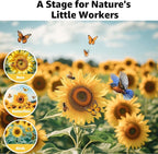 15+ Varieties 5000+ Sunflower Seeds for Planting, 4 Oz Heirloom Non-GMO Sunflower Mix Seeds to Plant (Giant Mammoth, Dwarf) Garden Variety Pack, High Germination, Attracts Pollinators