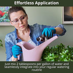 GARDENWISE 3-1-2 African Violet Fertilizer for Indoor Plants: Liquid Fertilizer with Essential Micronutrients Drops - Plant Food for African Violets (16 OZ)