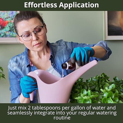 GARDENWISE 3-1-2 African Violet Fertilizer for Indoor Plants: Liquid Fertilizer with Essential Micronutrients Drops - Plant Food for African Violets (32 OZ)