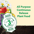 Miracle-Gro Shake 'N Feed All Purpose Plant Food - Outdoor and Indoor Plant Food for In-Ground and Containers, Feeds for up to 3 Months, 1 lb.