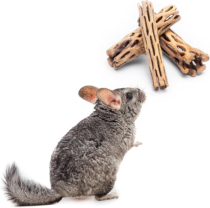 SubstrateSource Natural Cholla Wood - Driftwood for Aquariums, Air Plant Base, Hermit Crab and Freshwater Shrimp Hideout, Fish Tank Decoration, Chinchilla Chews, Reptile Habitat Wood - 6 Inch, 5pc