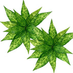 CATTREE Artificial Plants Outdoor, Fake Plant Décor Shrubs Faux Grass Plastic Leaves Greenery Bushes Home Garden Wedding Party Decorations Indoor Office Yard Verandah Planter Filler - Yellow 2 Pack