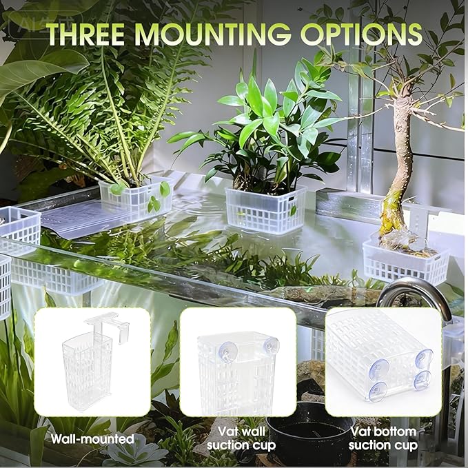 2 PCS Upgraded Aquarium Plant Holder, Adjustable Thickness Height Fish Tank Plant Holder with 2 Extension Hooks and 2 Suction Cups for Fish Tank Aquaponic (Transparent)
