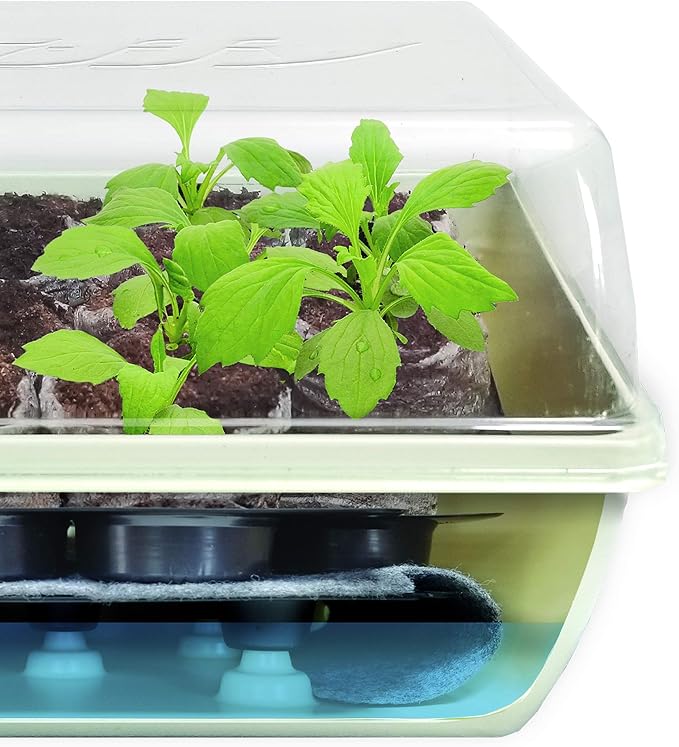 Jiffy Seed Starter Tray Kit - Self-Watering, High Germination Rate, Seedling Tray - 4 Pack - Peat/Plastic
