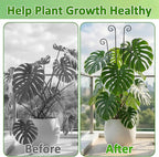 Monstera Plant Support - 4-Pack of 32.6" Tall Plant Trellis Stakes for Large Indoor Vines | Adjustable Dual Pole Frame for Monstera Deliciosa & Potted Plants
