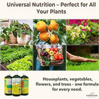 GARDENWISE 10-10-10 All Purpose Plant Food - Liquid Fertilizer with Seaweed Kelp & Iron - Indoor & Outdoor Plant Food, Vegetables, Flowers, Lawn & Garden 1x16 oz