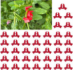 40 pcs Plastic Plant Training Clips, 90 Degrees Plant Stem Bender Low Stress Training Adjustable Circle Style Bud Bender for Climbing Plants and Gardening (Red)