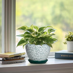 Ceramic Plant Pot - 6 Inch Planters for Indoor Plants, Round Succulent Pots with Drainage Hole and Saucer, Modern Decorative Plant Pots, Bathroom Decor, House Warming Gifts, Crackle Green