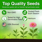 754+ Zinnia Dahlia Seeds, Pack for 2026 USA Premium Non-GMO Flower Seeds, Vibrant Zinnia Elegans for Pollinator Gardens, Borders & Containers, Easy-to-Grow Outdoor Blooms