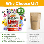 HOME GROWN 65,000+ Wildflower Seeds Heirloom Perennial Flower Seeds Mix for Attracting Bees Birds & Butterflies, High Germination (Midwest, 4 oz)