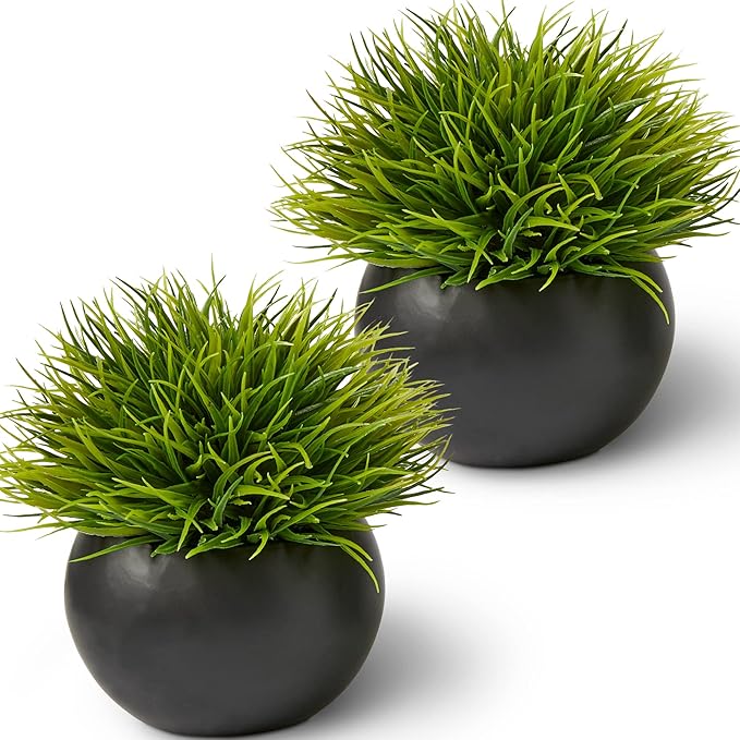 Fake Succulents Plants Artificial in Premium Ceramic Pots (2 Pack Round) Realistic Faux Succulents for Bathroom, Home & Office Décor