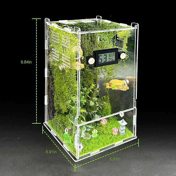 Jumping Spider Enclosure Kit,(Contains All Components) DIY Insects Habitat,Small Reptile Terrarium Glass House Accessories Set,with Temperature and Humidity Detector.5.5“x5.5”x9.5“ (Green)