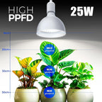 Barrina LED Grow Light Bulb with Timing and Hanging System, 25W Full Spectrum, 4H/9H/14H Timer, Hanging Grow Lights for Indoor Plants with 16.4FT Power Cord, Plug in Pendant Light for Plants