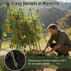 Miory Cucumber Trellis, A-Frame 48" Lx48 H Trellis for Raised Bed, Garden Trellis for Climbing Plants Outdoor, Plant Support for Cucumber