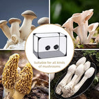 Watayo 35.5 x 23.5 x 23.5 Inch Mushroom Still Air Box- Pop up Mushroom Grow Tent Kit- Collapsible Mushroom Planting BagTent- Mushroom Growing Container for Horticulture Supplies