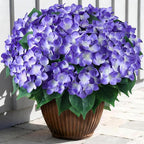 FOTEEWL 16 Bundles Artificial Hydrangea Flowers for Outdoor Decor, Realistic Faux Silk Bouquets Sun-Resistant Fake Plants for Front Door Balcony Farmhouse Garden Home Spring Summer Decor (Purple)