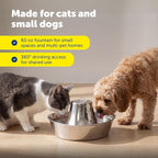 PetSafe Seaside Stainless Cat & Dog Fountain - Extra Water Filters & 1 Pump Included, Tower Creates Soothing Flow for Pets, Scratch-and Rust-Resistant Material Inhibits Pet Acne, 60 Oz Water Capacity