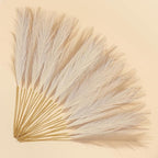 SeptCat 30 Pcs Pampas Grass Decor 21.7" Fluffy Faux Short Brown Pampas Grass Artificial Small Pompas Grass Flower Vase Filler for Home Wedding Living Room Wall Party Decoration