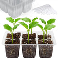 Bonviee 10 Packs Seed Starter Tray with Drainage Holes, Reusable & Durable, Clear for Root Monitoring, Easy to Repotted Without Root Damage, 6 Cells per Tray