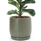 D'vine Dev 8 Inch Ceramic Beaded Stoneware Planter Pot - Flower Pot with Drainage Holes and Saucers for Indoor Succulent Plants or Flowers, Olive, 27-C-Q-0