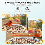 birdsnap® PAV-Bird Feeder with Camera,2K HD with 64GB Card, AI Identify Smart Bird House Cam Solar Panel,Live Stream,Motion Detection,Auto Record Video for Backyard Outdoors,Ideal Gift for Bird Lover
