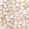 5 lbs Approx. 45 White River Rocks Stones for Plants Pebbles for Indoor Plants | Aquarium Fish Tank Rocks | Polished Decorative Rocks for Vases (1.6-2.4 Inches)