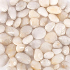 5 lbs Approx. 45 White River Rocks Stones for Plants Pebbles for Indoor Plants | Aquarium Fish Tank Rocks | Polished Decorative Rocks for Vases (1.6-2.4 Inches)