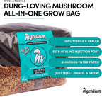 Mycelium 6LB Mushroom Growing Kit | CVG Substrate & Millet/Milo Grain Blend w/Cultivation Enhancer | All-in-One Pre-Sterilized Bag with Injection Port | Grow Dung-Loving Mushrooms Like Magic At-Home