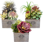 Mingfuxin Small Fake Plants, 3 Packs Mini Succulent Plants Artificial with Led Lights for Indoor Bathroom Bedroom Desk Office Decor