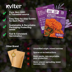 KVITER 75 Orange Butterfly Milkweed Seeds (Asclepias Tuberosa) - Orange Milkweed, Blazing Wildflower, Butterfly Favorite - Perennial Flower Seeds in Seed Packets for Outdoor Garden and Roadsides