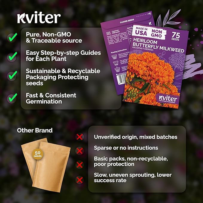 KVITER 75 Orange Butterfly Milkweed Seeds (Asclepias Tuberosa) - Orange Milkweed, Blazing Wildflower, Butterfly Favorite - Perennial Flower Seeds in Seed Packets for Outdoor Garden and Roadsides