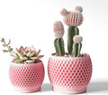Plant Pots, Modern 3D Printed Honeycomb Planters for Indoor Plants, 4.7/6 Inch Cherry Pink Decorative Flower Pot for Office Desktop, Bookshelf & Home Decor, Lightweight & Durable.