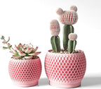 Plant Pots, Modern 3D Printed Honeycomb Planters for Indoor Plants, 4.7/6 Inch Cherry Pink Decorative Flower Pot for Office Desktop, Bookshelf & Home Decor, Lightweight & Durable.