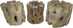 3 Natural Cholla Wood Air Plant Display Holders 2 inch Individually Unique Round Decorative Stands