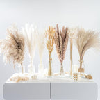 130PCS Natural Dried Pampas Grass Boho Home Decor Bouquet Phragmites Dried Flowers Bouquet for Wedding Floral Arrangements Living Room Decorations (130PCS)
