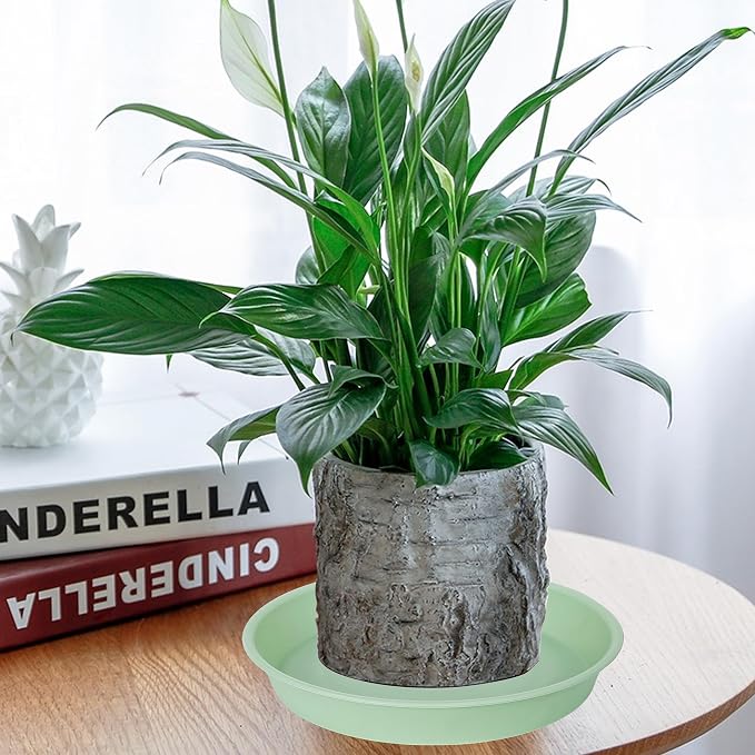 2 Pack of 8 inch Plant Saucer Clear, Heavy Duty Plastic Plant Water Tray 8 inch Round, Flower Plant Saucers for Indoors No Holes, Plant Dishes Saucer for Planter 7"/8" (8", Light Green)