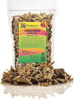 Gardenera Sphagnum Moss Potting Mix for Carnivorous Plants, Moss and Perlite Blend for Potting Venus Fly Traps, Sarracenia, Pitcher Plants - Sphagnum Moss & Perlite - Made in USA - 10 Quart