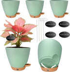 6 Inch Self Watering Pots for Indoor Plants(5-Pack) – Small Plastic Planters with Water Level Window, Drainage Holes & Detachable Trays, Indoor Outdoor Flower Pots for Herbs, Snake,Pothos (Green)