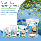 Aquascape Once-A-Year Pond Plant Fertilizer Capsules, 12-Pack, Promotes Aquatic Plant Health, Easy Annual Application, 89011