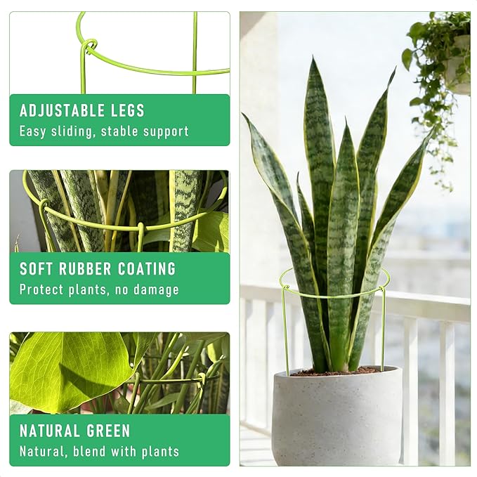 6-Pack Heavy Duty Plant Stakes and Supports for Indoor Outdoor Plants, Metal Support Stakes & Cage Rings, Ideal for Monstera, Peonies, Roses (6" W x 11" H)