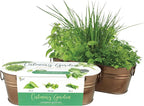 BUZZY Organic Windowsill Grow Kit – Copper Culinary Garden with Basil, Cilantro, and Chives, Grow Fresh Herbs Indoors, DIY Herb Starter Kit and Seed Kit, Unique Gardening Gift for Home and Parties