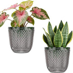 QCQHDU 2 Pack Self Watering Pots, 5.7 Inch Flower Pots with Drainage Holes and Water Filling Port, Garden Planter for Indoor Outdoor Plants (Gray)
