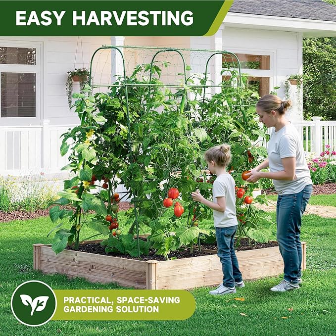 HIRALIY Cucumber Trellis for Climbing Plants Outdoor, 5.6ft Tall Heavy Duty Metal Garden Arch Trellis, Rustproof Plant Support Tunnel for Tomato, Grape, Bean, Raised Bed and Vegetable Gardens, Green