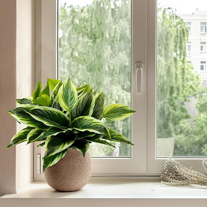 4Pcs 17.7inch Artificial Halcyon Hosta Perennial Plants Faux Green Dieffenbachia Plant Greenery Aesthetic House Plants Outdoor Shrubs Indoor Office Yard UV Resistant Planter Filler