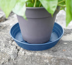 LWALRS Plant Saucer 14 Inch 4 Pack 6 8 10 12 14 16 18 20 25, Plastic Plant Trays for Pots，Extra-Deep Plant Water Dray Tray, Bird Bath Bowl, Heavy Flower Plant Saucers Indoors and Outdoor No Holes