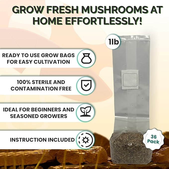 MycoHaus Mushroom Growing Kit | Sterilized Rye Grain | Magic Indoor Grow Bags for Mushrooms | Shroom Home Cultivation Magic Supplies | Without Spores | Without Injection Ports |1 Pound (36 Pack)